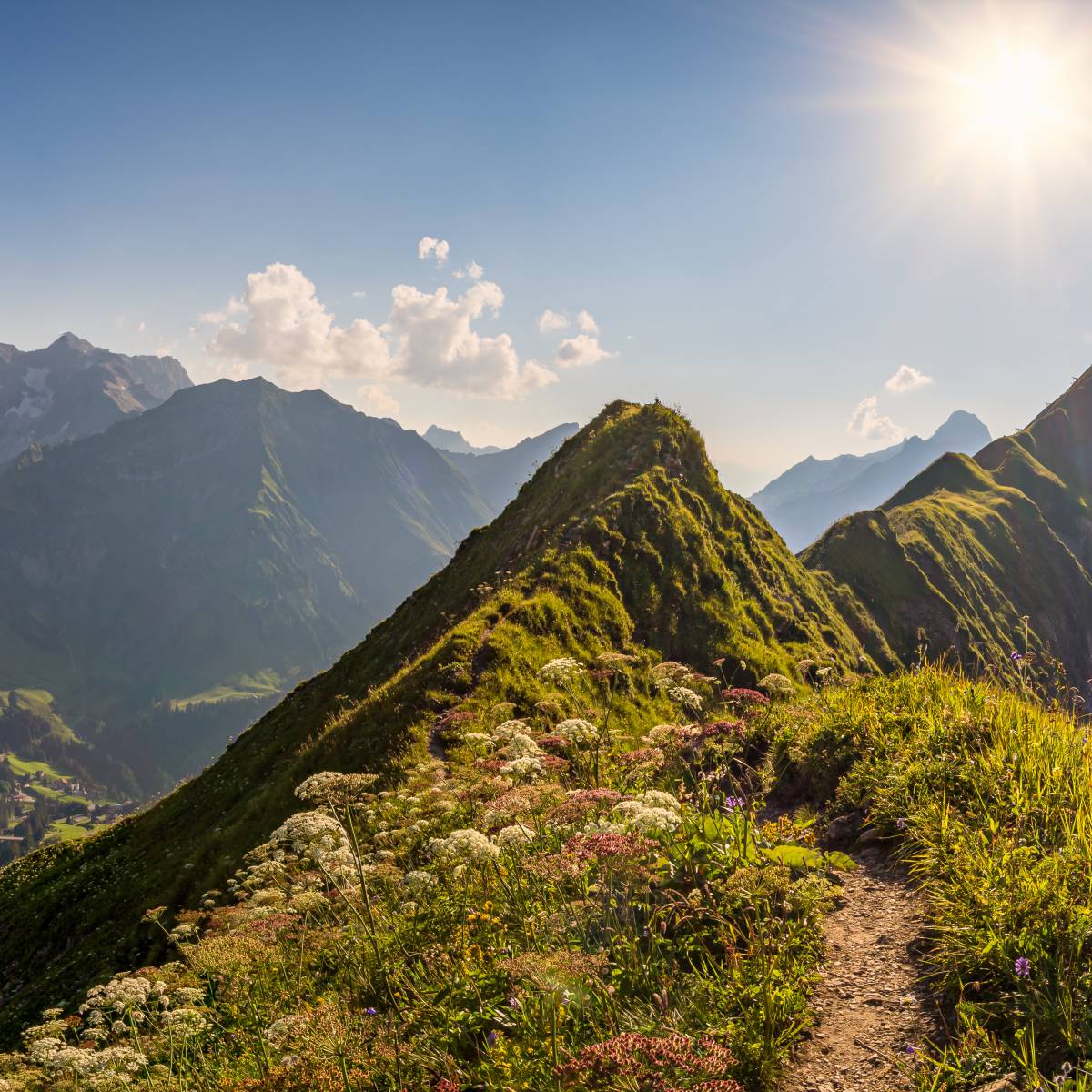 Nature adventures on your Allgäu holiday - Parkhotel Burgmühle