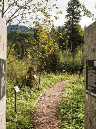 Wandern durch die 12 Tore im Fischinger Weidach Symbolfoto