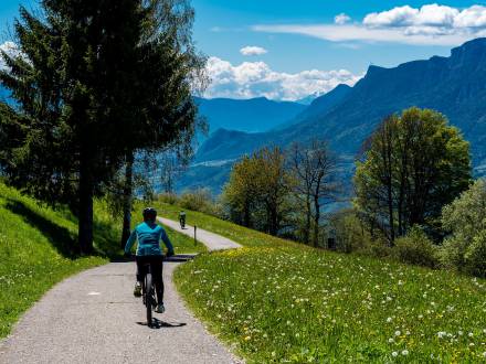 Biking in summer