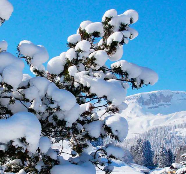 Weitere
Winteraktivitäten - Parkhotel Burgmühle