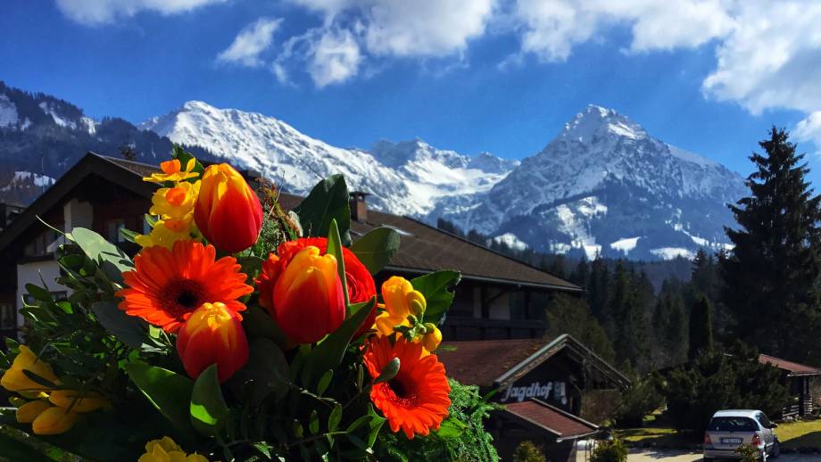 Der Frühlingsanfang Symbolfoto