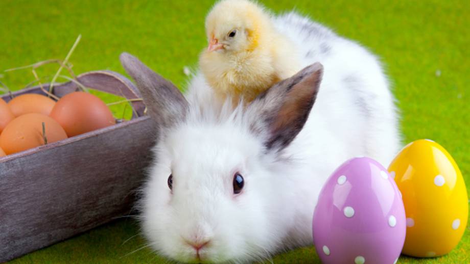 Die Tage rund um Ostern Symbolfoto