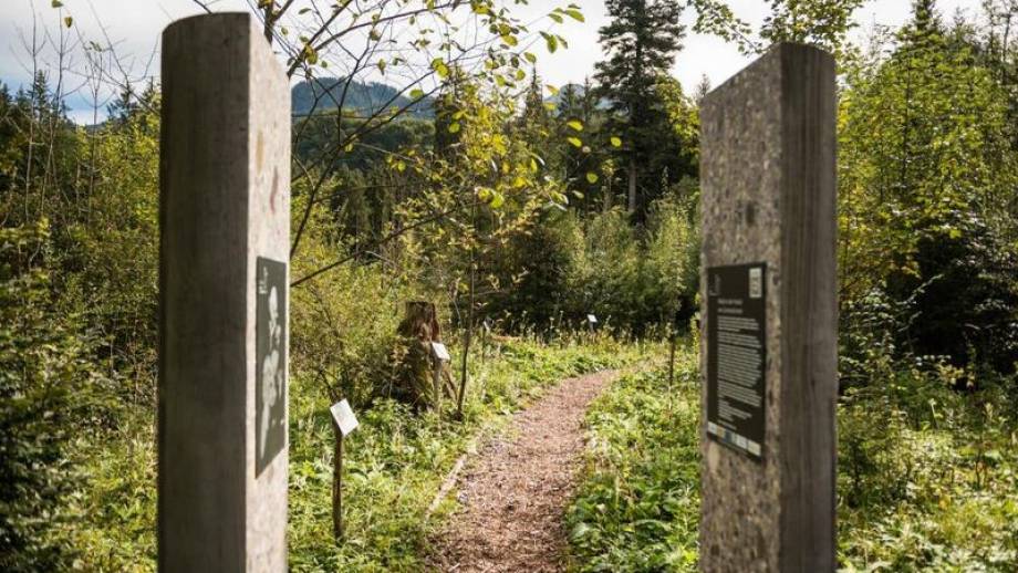 Wandern durch die 12 Tore im Fischinger Weidach Symbolfoto