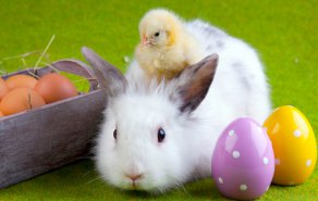 Die Tage rund um Ostern, Bild 1/1