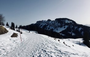 Unser heutiger Wandertipp , Bild 1/3